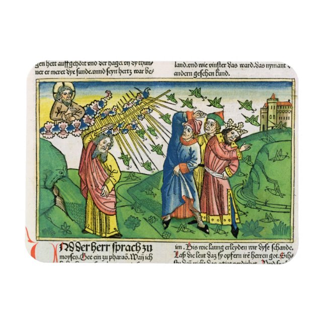 Exodus 10:1-20 The Seven Plagues of Egypt: the pla Magnet (Horizontal)