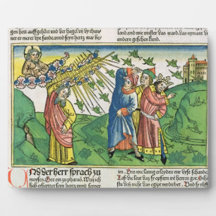 Exodus 10:1-20 The Seven Plagues of Egypt: the pla Plaque