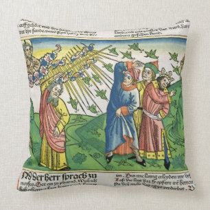 Exodus 10:1-20 The Seven Plagues of Egypt: the pla Throw Pillow