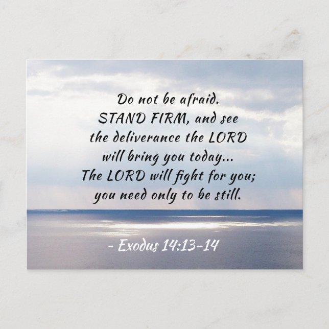 Exodus 14:13-14 Do not be afraid STAND FIRM Postcard (Front)