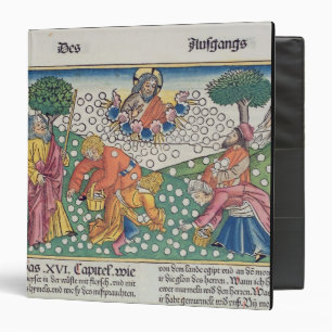 Exodus 16 13-22 God provides quail and manna to th Binder
