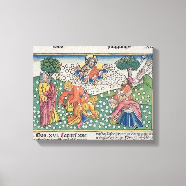 Exodus 16 13-22 God provides quail and manna to th Canvas Print (Front)