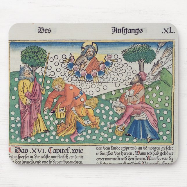 Exodus 16 13-22 God provides quail and manna to th Mouse Pad (Front)