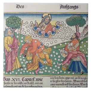 Exodus 16 13-22 God provides quail and manna to th Tile