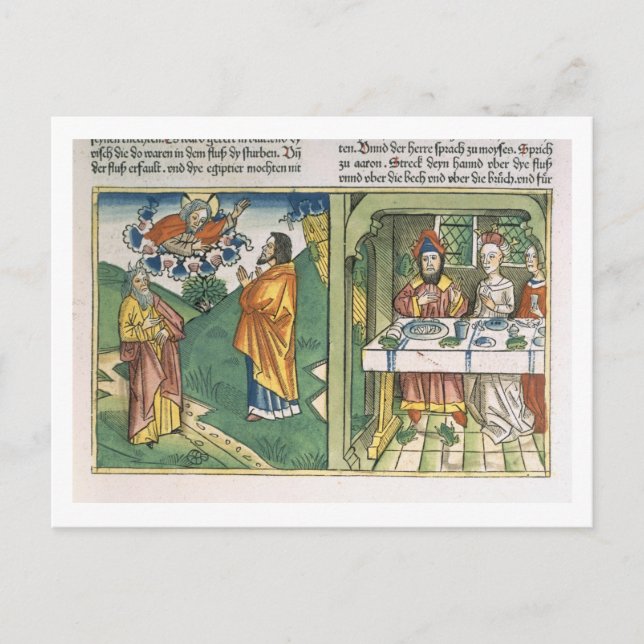 Exodus 8 1-15 The Seven Plagues of Egypt: Moses an Postcard (Front)