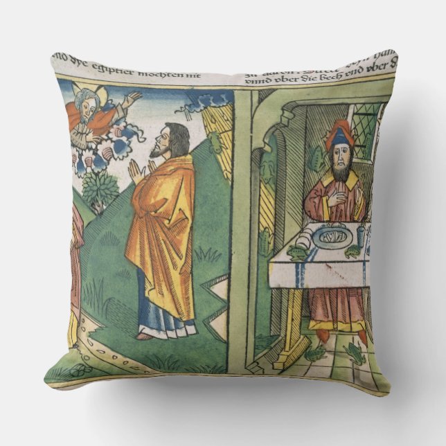 Exodus 8 1-15 The Seven Plagues of Egypt: Moses an Throw Pillow (Front)