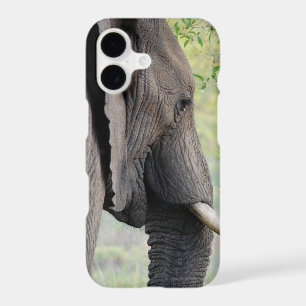 Exotic African Grey Elephant