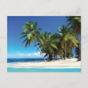 Exotic beach throw pillow postcard