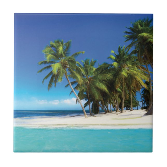 Exotic beach throw pillow tile (Front)