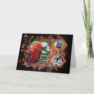 Exotic Birds Greeting Card