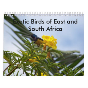 Exotic Birds of East and South Africa Calendar