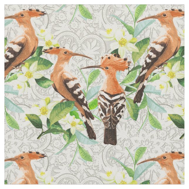 Exotic Birds On Lace Fabric (Close Up)