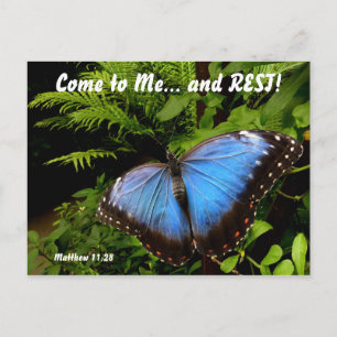 Exotic blue butterfly 2 postcard