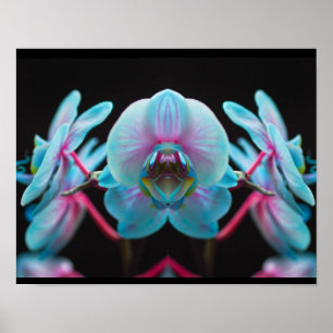 Exotic Blue Orchid Reflection Poster