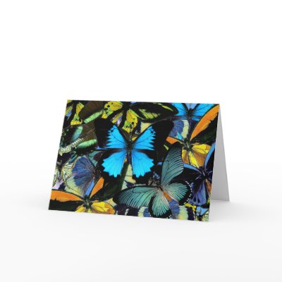 Exotic Butterflies Card by Fairyscape