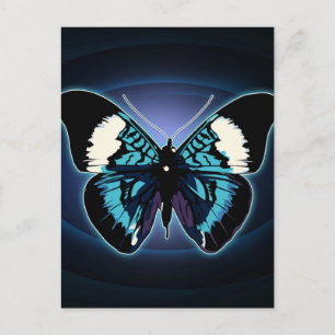 Exotic Butterfly  Postcard