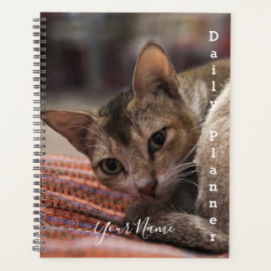Exotic Cat - Daily Planner- HAMbWG Planner