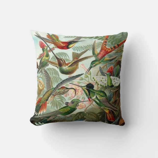Exotic Colourful Birds Vintage Print Throw Pillow (Front)