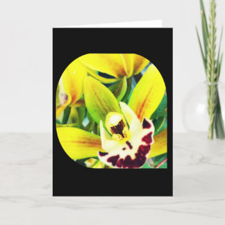Exotic Cymbidium Orchid Blank Greeting Card