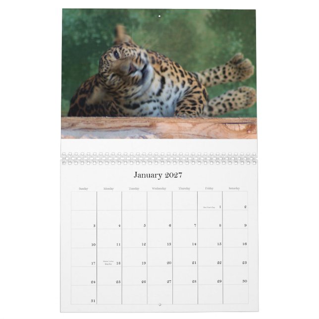 EXOTIC FELINE BREEDING COMPOUND CALENDAR (Jan 2027)