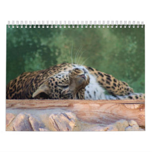 EXOTIC FELINE BREEDING COMPOUND CALENDAR