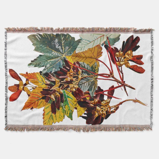 Exotic Flora #3 at SunshineDazzle Throw Blanket (Front)