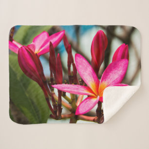 Exotic flower background plumeria blooms sherpa blanket