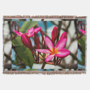 Exotic flower background plumeria blooms throw blanket