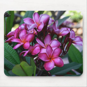 Exotic flower, Mousepad