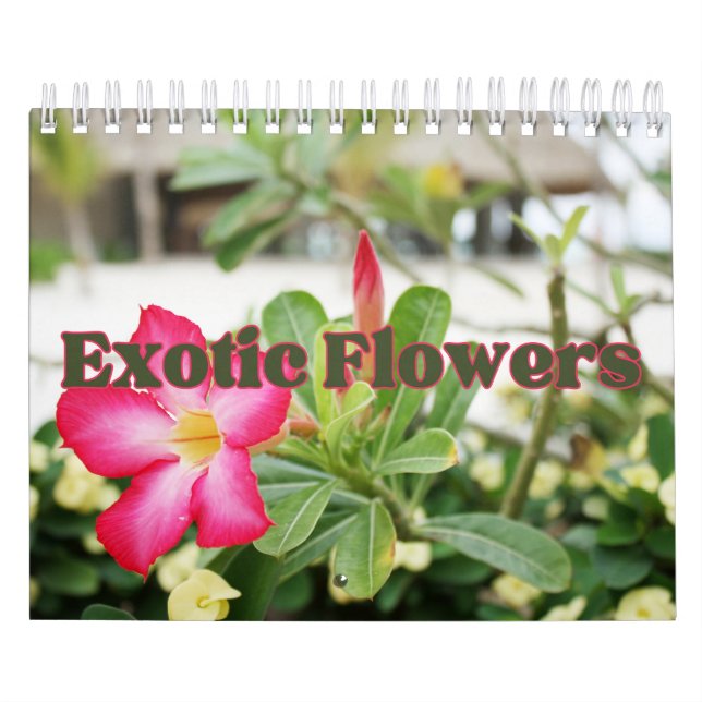 Exotic Flowers Collection Showcase Wall Calendar (Cover)