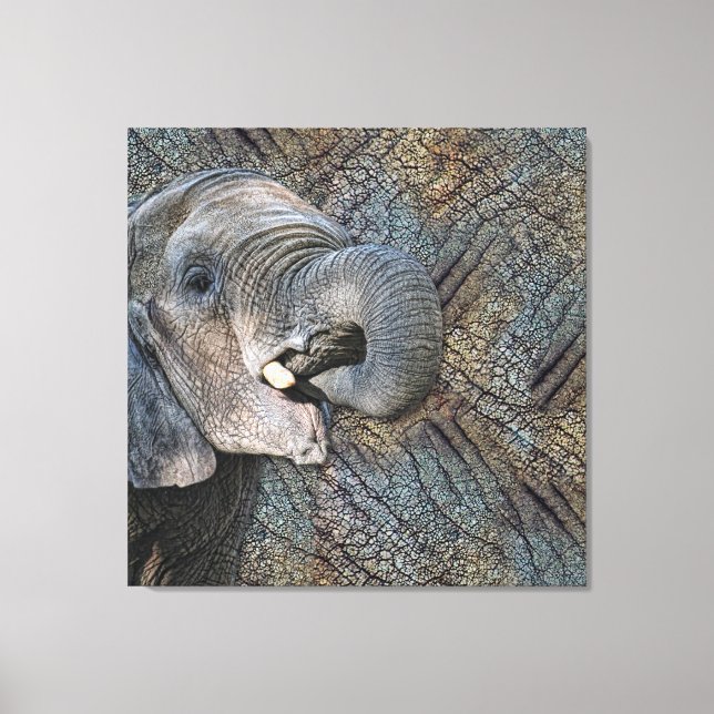 Exotic Grey Elephant Leather Camouflage Animal Canvas Print (Front)
