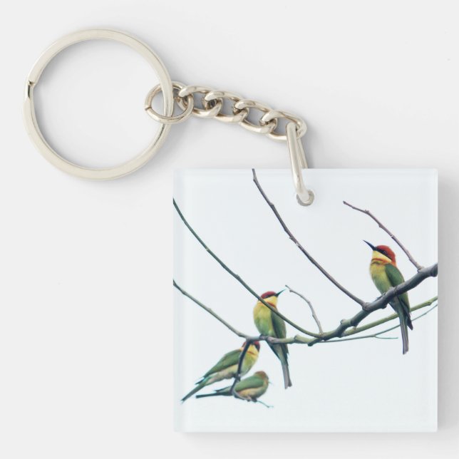 Exotic Indian kerala Bee-Eater Birds on Branch Keychain (Front)
