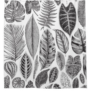 Exotic leaves, vintage floral black and white.