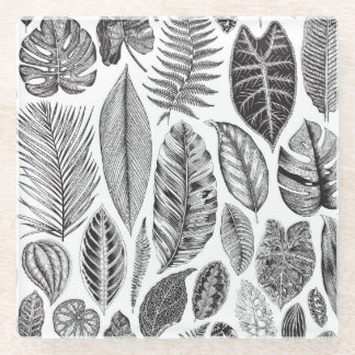 Exotic leaves, vintage floral black and white. glass coaster