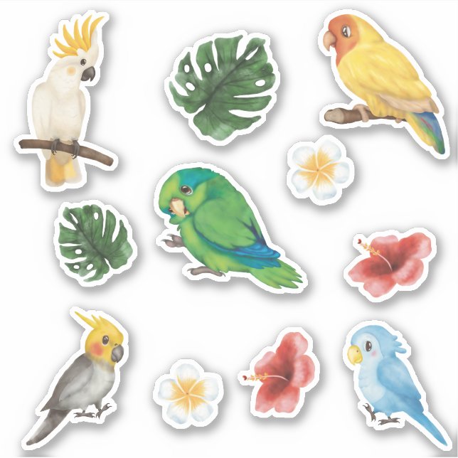 Exotic lovely Wild baby Parrots Tropical  Sticker (Front)