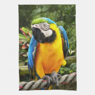 Exotic Macaw Parrot Kitchen Towel