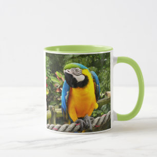 Exotic Macaw Parrot Mug