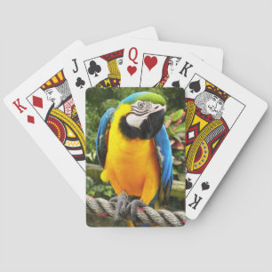 Exotic Macaw Parrot Playing Cards
