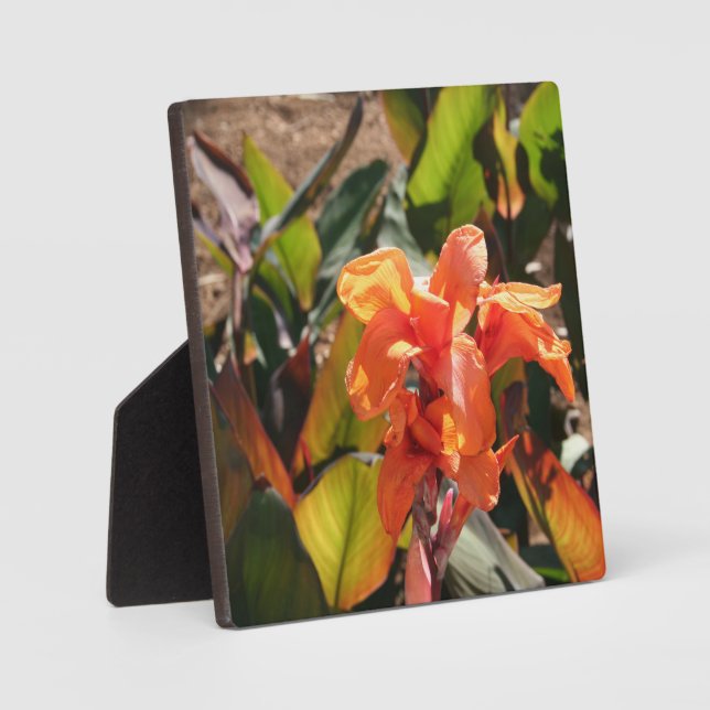 Exotic orange flower plaque (Front)