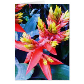 Exotic Orange Yellow Beautiful Flower Card