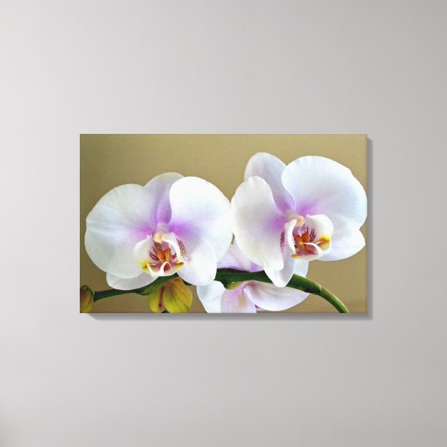 Exotic Orchid Photograph on Canvas Art (Front)