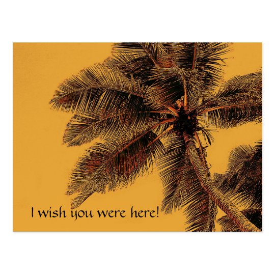 exotic palm postcard