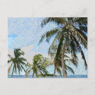 Exotic Palm Trees Postcard