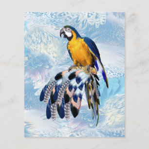 Exotic-parrot Blue tone feathers 