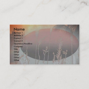 Exotic Profile Card