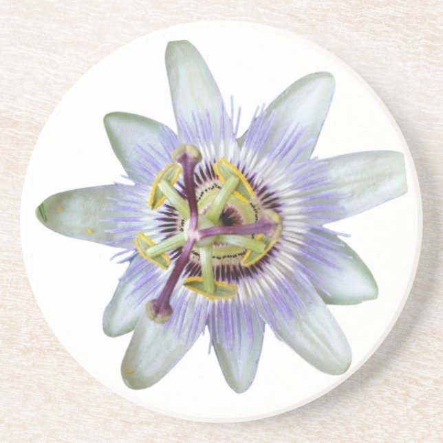 Exotic Purple Passion Flower Sandstone Coaster (Front)