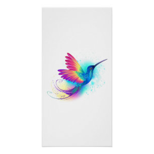 Exotic Rainbow Hummingbird Poster