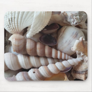 Exotic Sea Shells Collection, Summer Beach Life Mouse Pad