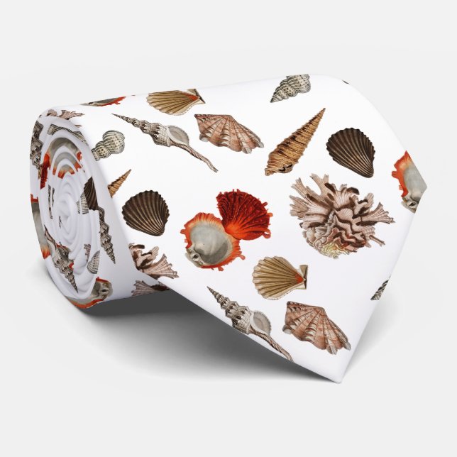 Exotic Seashell Beach Theme Tie (Rolled)