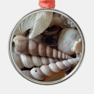 Exotic Seashells Collection, Summer Beach Metal Ornament